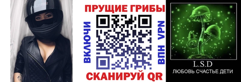 Галлюциногенные грибы Psilocybe  Грайворон 